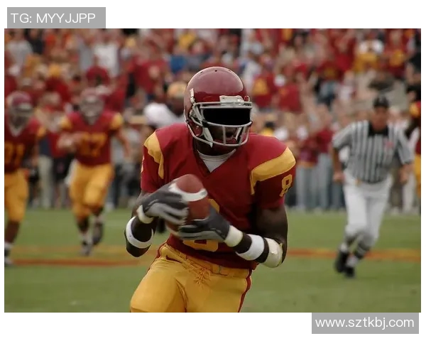 职业橄榄球对抗强度与球员受伤频率关系的统计分析与研究 职业橄榄球对抗强度与球员受伤频率关系的统计分析与研究