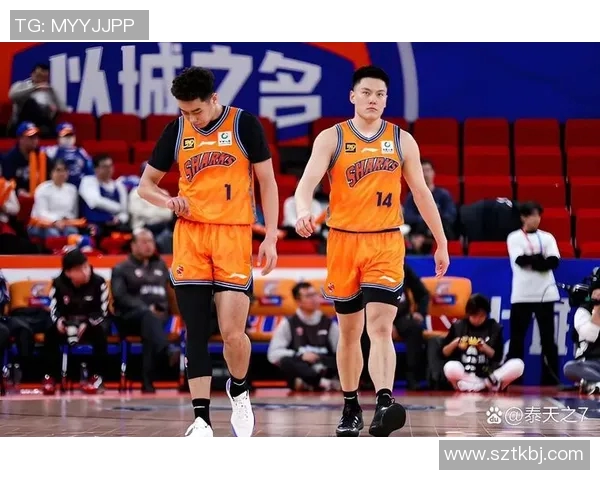 CBA球队赛季阵容调整及战绩影响