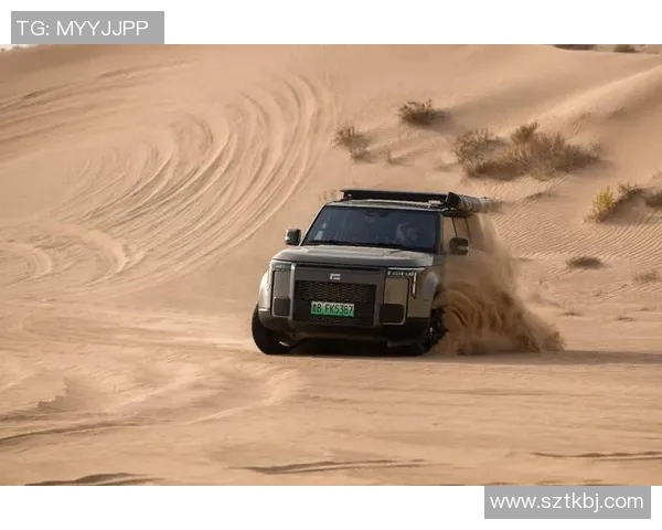 F1赛季赛道适应策略及车队表现评析